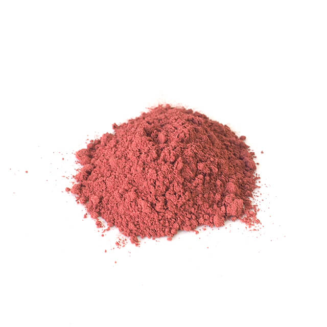 《日東酵素》米紅麹（粉末）【100g】